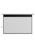 100 Inch 16:9 Projection Screen